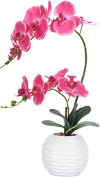 Artificial Potted Orchid Faux Phalaenopsis Silk Flowers Bonsai Realistic Arrangement in Ceramic Vase for Home Decoration Table Centerpiece, Rose Red