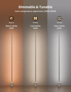 Ailofy Smart Corner Floor Lamp, LED Floor Lamp with Alexa and App Control, 16 Million DIY Colors, Music Sync, DIY Color Modes,Timer Setting, Suitable for Living Room and Bedroom