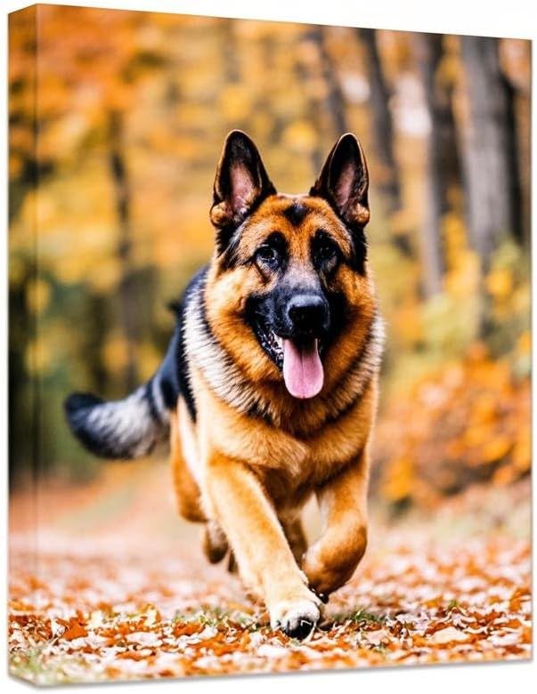 Personalized Photo to Canvas Print - Canvas Prints With Your Photos on Custom Wall Art for Bedroom, Living Room, Wedding Baby Pet Family Picture Framed Wall Art (20" W x 24" H)