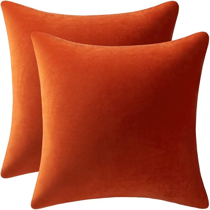 Fall Couch Pillow Cases 20x20 Burnt Orange: 2 Pack Cozy Soft Velvet Square Throw Pillow Covers for Farmhouse Home Decor