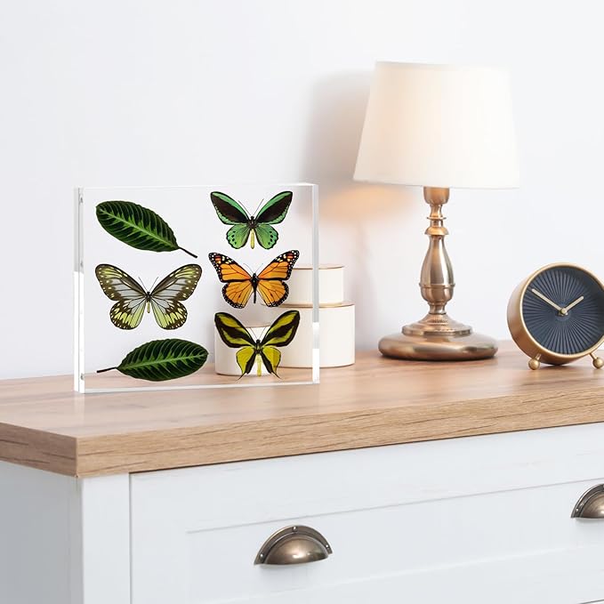 TWING 2 Pack Acrylic Picture Frame 8 x 10 Magnetic Picture Photo Frame,10+10MM Clear Picture Frame, 8 by 10 Picture Frames Acrylic Magnetic Photo Frame Self Standing Double Sided,Gift