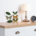 TWING 6 Pack 8 x 10 Acrylic Picture Frames, Magnetic Lucite Clear Picture Frame, 8 by 10 Magnetic Photo Frame Self Standing Double Sided, Gift