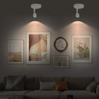 Cordless Spotlight Battery Operated, RGB Indoor Plant Light, Dimmable Accent Uplight with Remote, Color Changing Display Lighting for Picture Tree Photo Dartboard Painting Art