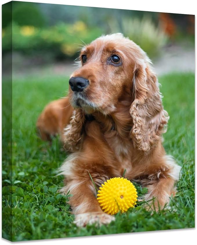 Personalized Photo to Canvas Print - Canvas Prints With Your Photos on Custom Wall Art for Bedroom, Living Room, Wedding Baby Pet Family Picture Framed Wall Art (11" W x 14" H)