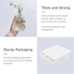 Glass Bud Vase Set of 5, Clear Small Flower Vases for Centerpieces in Bulk, Mini Vintage Vase for Rustic Wedding, Home,Table