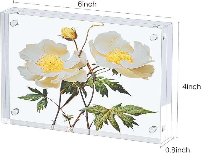 3 Pack Acrylic Picture Frames 4x6, 20%thicker Free Standing Desktop Display,Strong Magnetic Photo Frame, Double Sided Clear Picture Frames , Frameless Standing Desktop Frame for Home, Office, Gift Ready