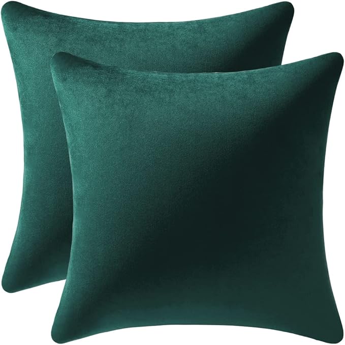 Decorative Pillow Covers 16x16 Green: 2 Pack Cozy Soft Velvet Square Throw Pillow Cases for Farmhouse Home Decor