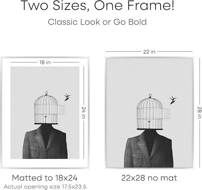 Homeforia Silver 22x28 Picture Frame, Rectangular Metal Poster Frame with Mat, 22 x 28 Frame Matted to 18 x 24 Photo, Wall Mount, Minimalist Style, Tempered Glass, Wall Hook Included