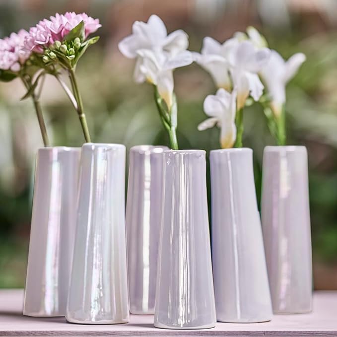 Chive - Set of 6 Galaxy, 1.5" in Wide 5.5" Tall Small Cylinder Ceramic Bud Flower Vase, Unique Single Flower Decorative Floral Vase for Home Decor, Bulk (Pearl White)