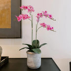 CG Hunter Faux Pink Orchid Plant, Premium Artificial Indoor Flower Display Stands 24”, Beautiful Sculptural Blooms That Lasts Forever, Grey Planter Pot Included
