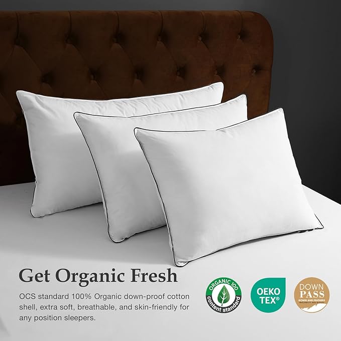 DWR Luxury Goose Feather Down Core Pillow Surrounded by Polyester - Set of 1 - Queen Size(20"x30") - Medium Firm - 100% Organic Cotton