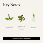 LAFCO New York Holiday Signature Fall Candle, Pumpkin Seed & Sandalwood - 15.5 oz - 90-Hour Burn Time - Reusable, Hand Blown Glass Vessel - Made in The USA