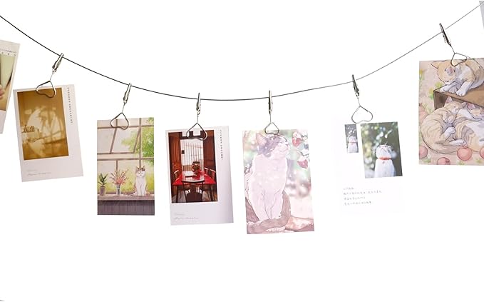 Multi-Purpose Steel Wall Hanging Photo Display Cable Wire Rod with 12 Adjustable Clips for Hanging Photos Notes Postcard and Artworks (Heart)