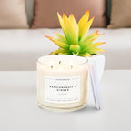 Calyan Wax Co. 3 Wick Candle, Passionfruit + Ginger Scented Candle, 43 Hour Burn Time, 3 Wick Soy Candles, Non Toxic & Vegan Soy Wax, Ceramic Scented Candles, 26oz