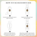 M&SENSE 6.3 oz Large Reed Diffuser Set | Red Camelia Scent Home Oil Diffuser with Sticks | Hotel Collection Non-Toxic Essential Oil |for Bedroom Bathroom Living Room