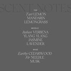 Antica Farmacista Room Spray - Lemon, Verbena and Cedar, 3.4 Fl Oz (Pack of 1)