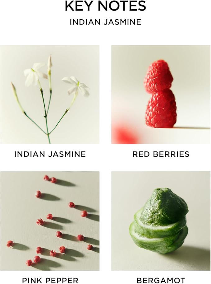 NEST New York Reed Diffuser, Indian Jasmine - 5.9 fl oz - Fragrance for Up to 90 Days - Reusable, Refillable Glass Holder - Includes 8 All-Natural Reed Sticks - Flame Free