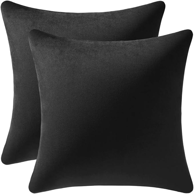 Decorative Pillow Covers 22x22 Black: 2 Pack Cozy Soft Velvet Square Throw Pillow Cases for Farmhouse Home Decor
