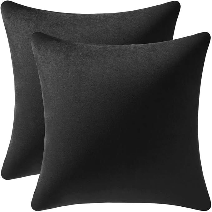 Decorative Pillow Covers 16x16 Black: 2 Pack Cozy Soft Velvet Square Throw Pillow Cases for Farmhouse Home Decor