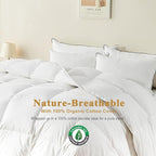 100% Organic Feather Down Comforter Full/Queen Size, Luxury Extra-Fluffy Duvet Insert, All Season Bed Comforter with Ultra-Soft Organic Cotton Case (90x90 Inch, Ivory White)