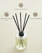 M&SENSE Coconut Lime Reed Diffuser Set - 16.9 fl oz Long-Lasting Scent, Large Natural Oil Diffuser with Sticks, Non-Toxic Aromatherapy Diffuser Gift for Home, Spa & Bedroom