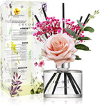 COCODOR Rose Flower Reed Diffuser/Lovely Peony/6.7oz(200ml)/1 Pack/Reed Diffuser, Reed Diffuser Set, Oil Diffuser & Reed Diffuser Sticks, Home Decor & Office Decor, Fragrance and Gifts