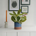 6 Inch Plant Pots, Ceramic Planter Pot with Drainage Hole & Saucer, Indoor/Outdoor Cylinder Round Planter Pot, Aqua Blue & Terracotta Red