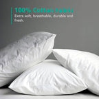 APSMILE Organic 12x20 Feather Down Throw Pillow Inserts Set of 2, 100% Cotton Fabric, Soft Fluffy Rectangle Decorative Pillow Form Core for Sofa, Bed, Couch, Cushion Sham Stuffer