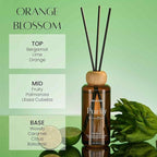 M&SENSE Orange Blossom Reed Diffuser: 6.3 fl oz Non-Toxic Aroma Set with Sticks, Light & Subtle Fragrance, Long-Lasting Natural Essential Oil Gifts for Bedroom, Shelf Decor & Small Spaces