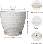 G EPGardening 8 Inch Plant Pot for Indoor Outdoor Plants Round Ceramic Planter Pot with Drainage Hole and Saucer Modern Large Flower Pot White