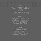 Antica Farmacista Room Spray - Lush Palm, 3.4 Fl Oz (Pack of 1)