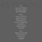 Antica Farmacista Home Ambiance Diffuser,Liquid Velvet, 3.4 Fl Oz