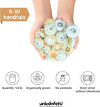 Dried Flower White Straw Daisy Biodegradable Confetti - Real Flower Petals for Weddings, Flower Girl Toss, Wedding Send Off Ideas, Party Table Decoration | Boxed - 8oz (0.5lbs)