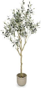 Artificial Olive Tree 5.4 ft Natural Olive Branches and Realistic Leaves for Modern Home Office Living Room Floor Decor 65 Inch