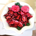 Christmas Potpourri Bags,Cinnamon Apple Scented Potpourri Bowl Filler,Red Decorative Dried Flower,Home Fragrance Sachet of Petals-Mini