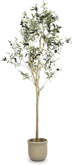 Artificial Olive Tree 6 ft Natural Olive Branches and Realistic Leaves for Modern Home Office Living Room Floor Decor 71 Inch