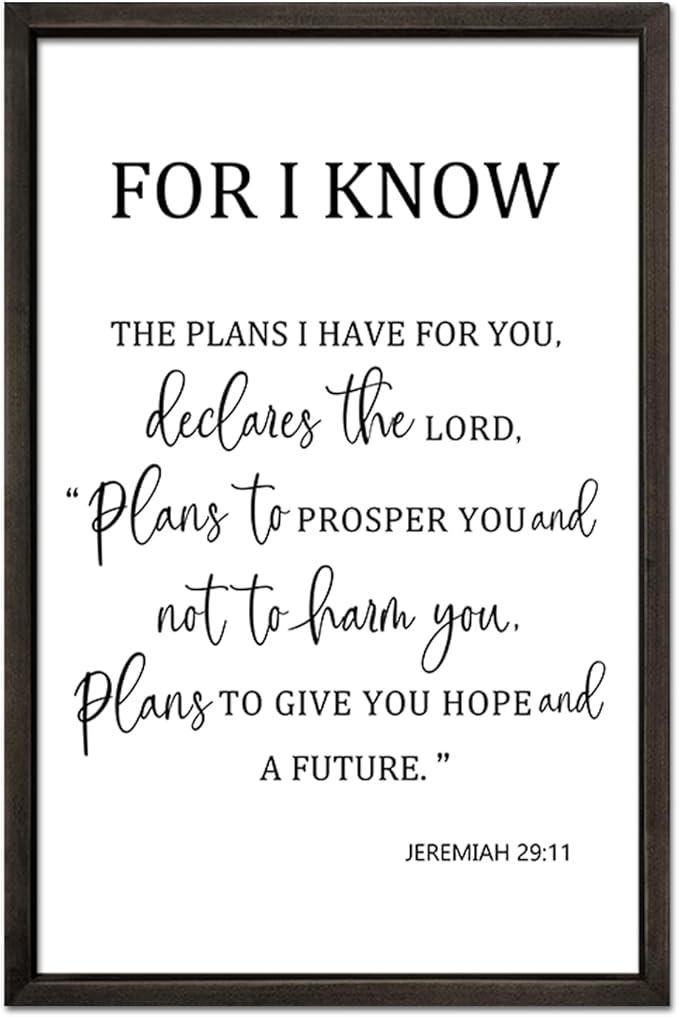 FZMHASLWW For I Know The Plans I Have for You Wall Decor 24"×16" Jeremiah 29 11 Sign Large Wood Framed Wall Hanging Art (Black)
