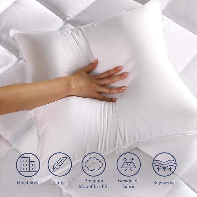 Throw Pillow Inserts 20 x 20 in Set of 2 for Couch and Sofa, Soft Fluffy Square Form Down Alternative Cushion Decorative Pillow Inserts