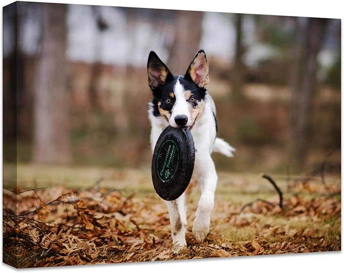 Personalized Photo to Canvas Print - Canvas Prints With Your Photos on Custom Wall Art for Bedroom, Living Room, Wedding Baby Pet Family Picture Framed Wall Art (10" W x 8" H)