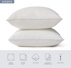 Leeden 18 x 18 Pillow Inserts (Set of 2) - Throw Pillow Inserts with 100% Cotton Cover - 18 Inch Square Decorative Pillows for Sofa, Couch, Bed and Home Decor