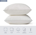 Leeden 22 x 22 Pillow Inserts (Set of 2) - Throw Pillow Inserts with 100% Cotton Cover - 22 Inch Square Decorative Pillows for Sofa, Couch, Bed and Home Decor
