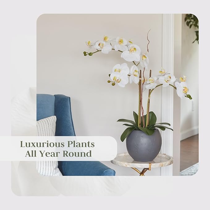CG Hunter Faux White Orchid Plant, Premium Artificial Indoor Flower Display Stands 25-Inches with Beautiful Sculptural Blooms and Foliage That Lasts Forever, Grey Planter Pot Included