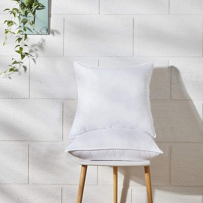 Throw Pillow Inserts 20 x 20 in Set of 2 for Couch and Sofa, Soft Fluffy Square Form Down Alternative Cushion Decorative Pillow Inserts