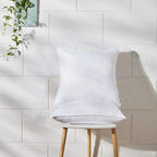 Throw Pillow Inserts 20 x 20 in Set of 2 for Couch and Sofa, Soft Fluffy Square Form Down Alternative Cushion Decorative Pillow Inserts