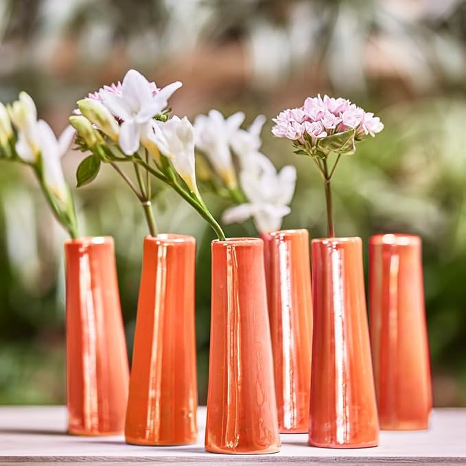 Chive - Set of 6 Galaxy, Small Cylinder Ceramic Bud Flower Vase, Unique Single Flower Decorative Floral Vase for Home Decor, Bulk (Orange)