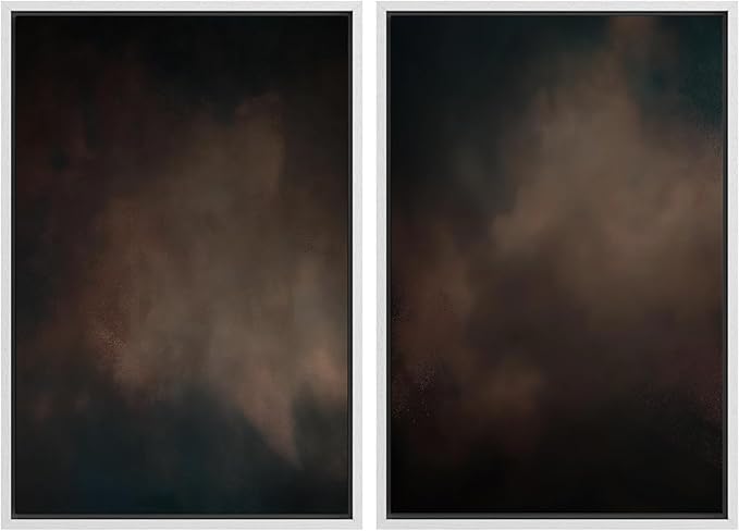 SIGNFORD Framed Canvas Print Wall Art Set Moody Dark Abstract Earth Tones Illustration Modern Art Decorative Nordic Nature for Living Room, Bedroom, Office - 16"x24"x2 White