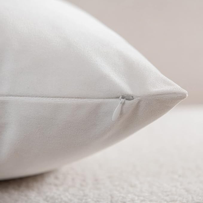 Decorative Pillow Cases 24x24 White: 2 Pack Cozy Soft Velvet Square Throw Pillow Covers for Farmhouse Home Decor