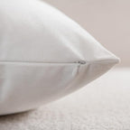 Decorative Pillow Cases 18x18 White: 2 Pack Cozy Soft Velvet Square Throw Pillow Covers for Farmhouse Home Decor