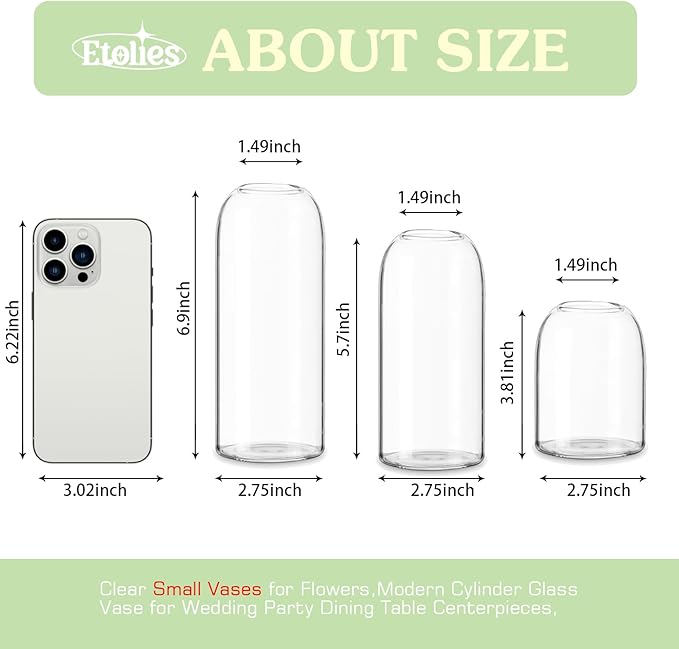 Etolies Glass Bud Vases in Bulk Set of 12, Clear Small Vases for Flowers,Modern Cylinder Glass Vase for Wedding Party Dining Table Centerpieces, Living Room Decorative, Home Decor.