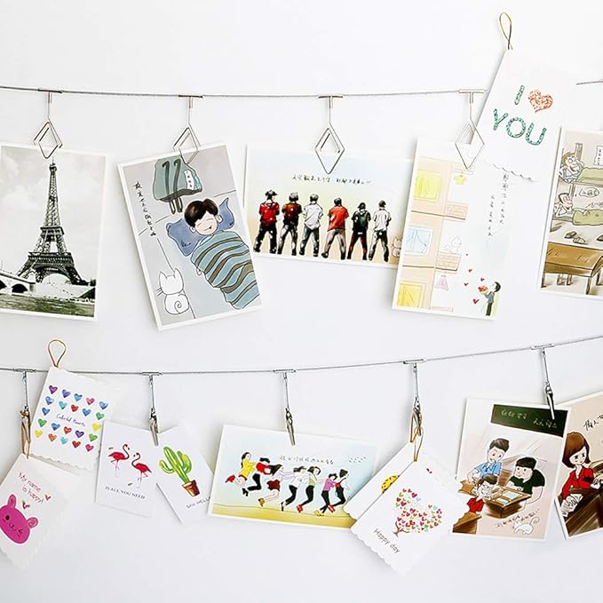 Multi-Purpose Steel Wall Hanging Photo Display Cable Wire Rod String with 12 Clips for Hanging Photos Notes and Artworks (Alligator clip)